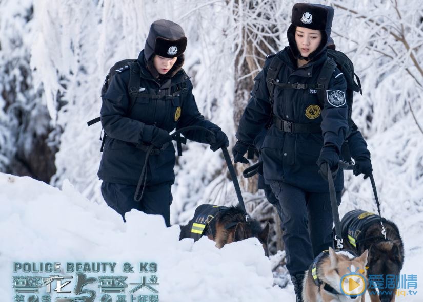 警花与警犬之再上征程剧照