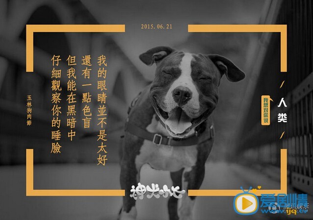 神犬小七宣传广告照片