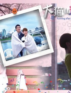 海清陈思诚主演大猫儿追爱记剧情介绍