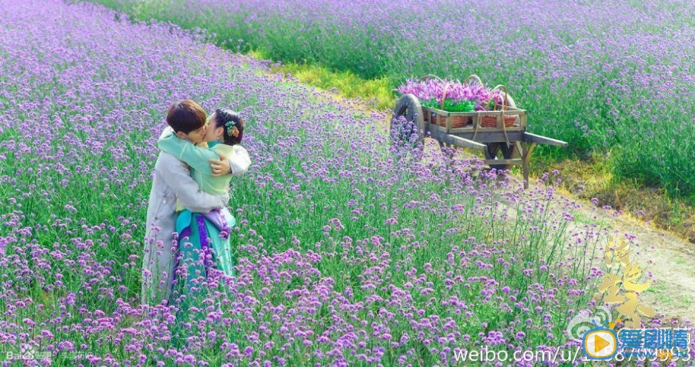 李溪芮高清写真_李溪芮高清剧照