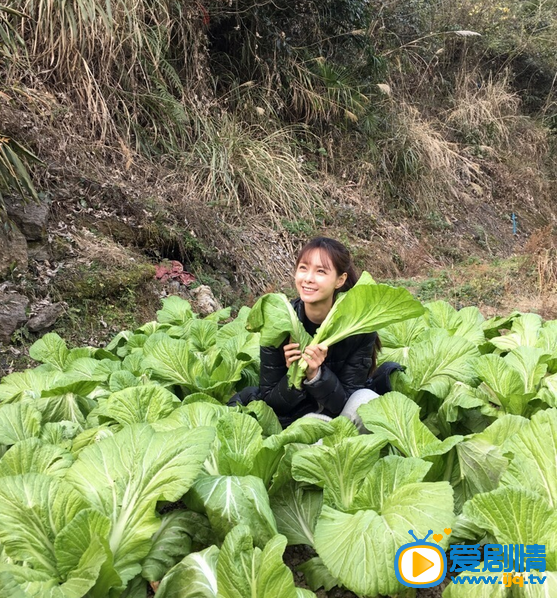 沈梦辰高清写真_沈梦辰高清剧照