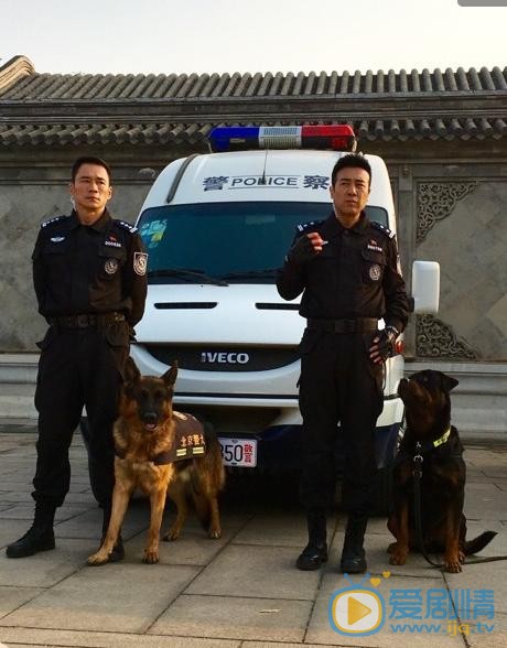 警花与警犬中唐磊死了吗？唐磊结局是什么？