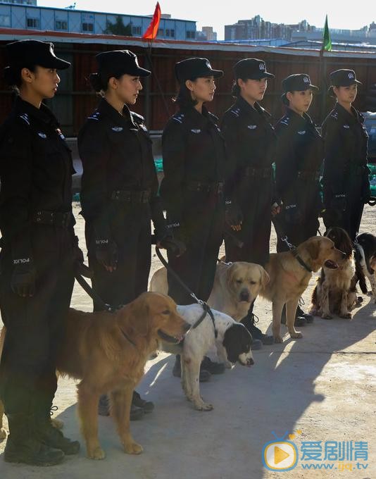 警花与警犬扮演倪娜的是谁？倪娜精通几国语言？