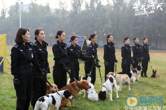 警花与警犬剧照