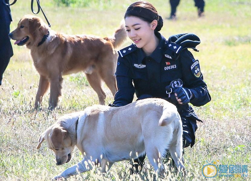 警花与警犬剧照