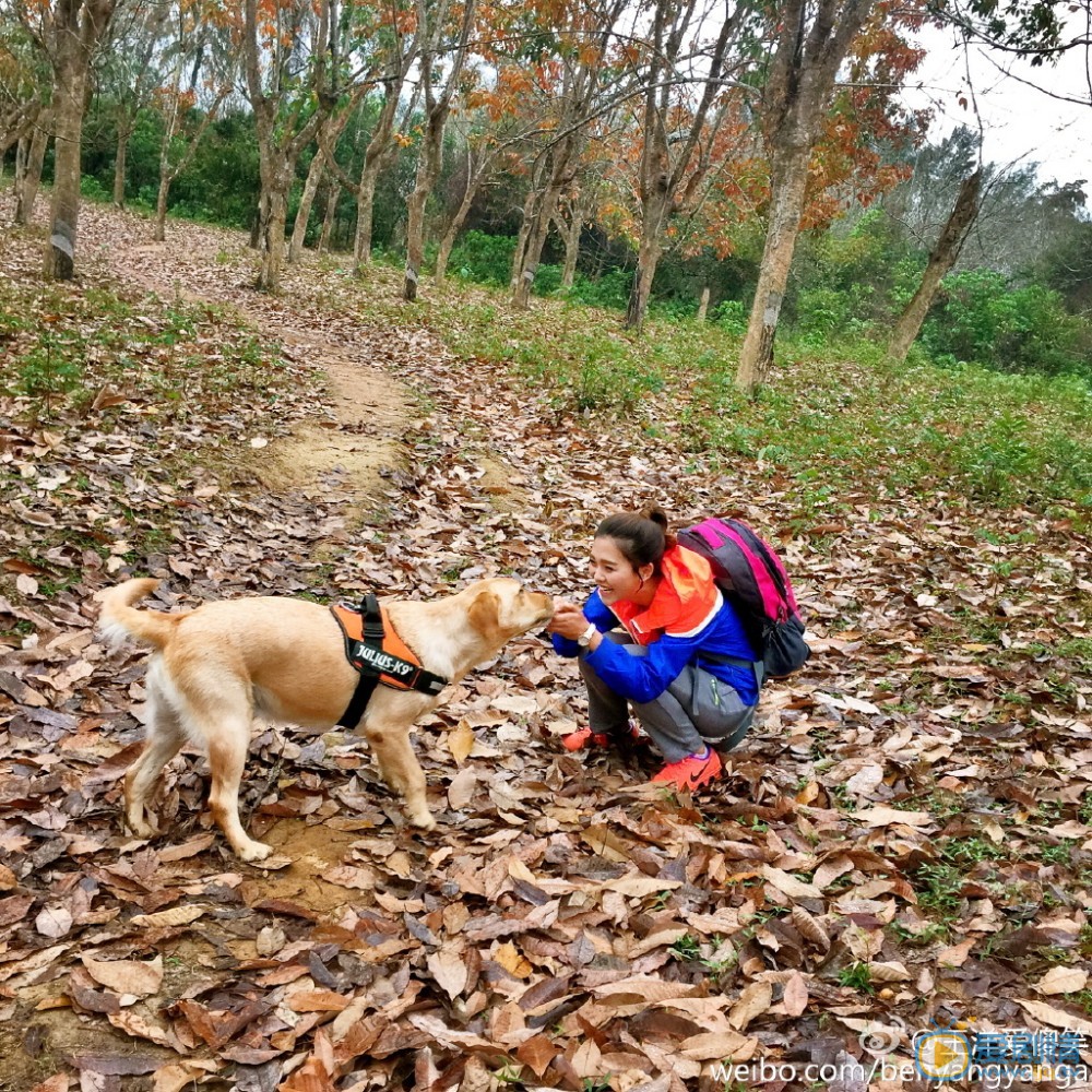 王洋高清写真_王洋高清剧照