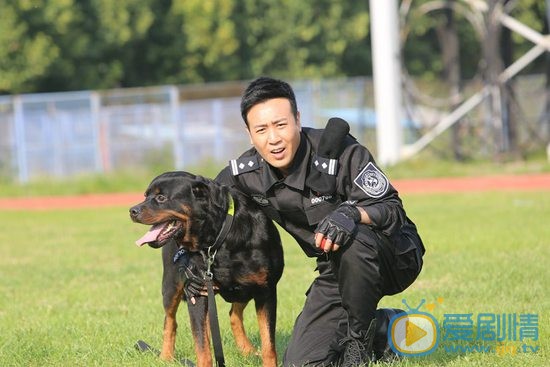 警花与警犬剧照