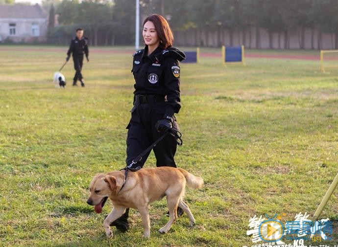 警花与警犬剧照