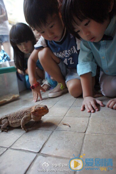 小小志高清写真_小小志高清剧照