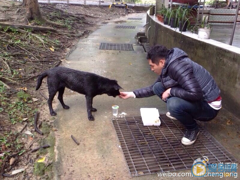 蓝正龙高清写真_蓝正龙高清剧照