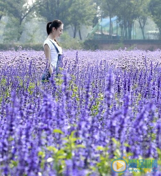 李嘉慧高清写真_李嘉慧高清剧照