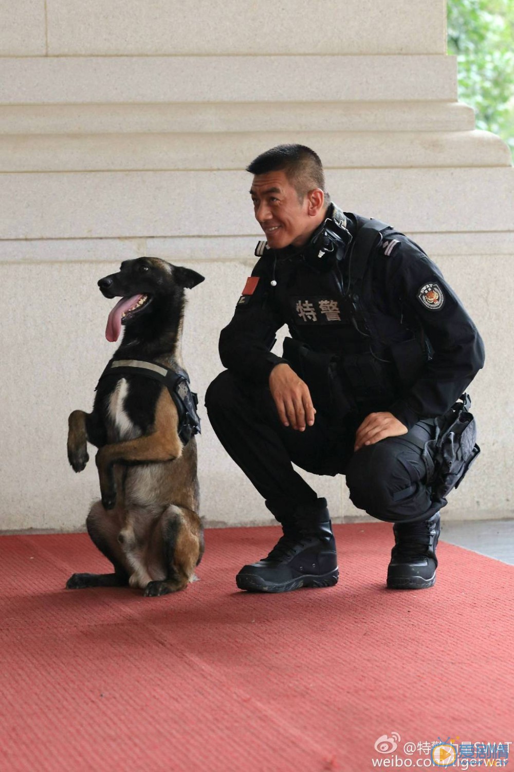 任天野《特警力量》剧照 任天野高清写真_任天野高清剧照