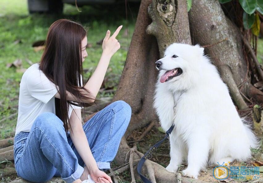 宋妍霏高清写真_宋妍霏高清剧照