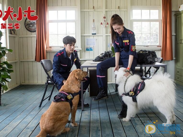 宋妍霏高清写真_宋妍霏高清剧照