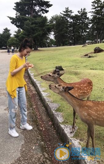 王鹤润高清写真_王鹤润高清剧照