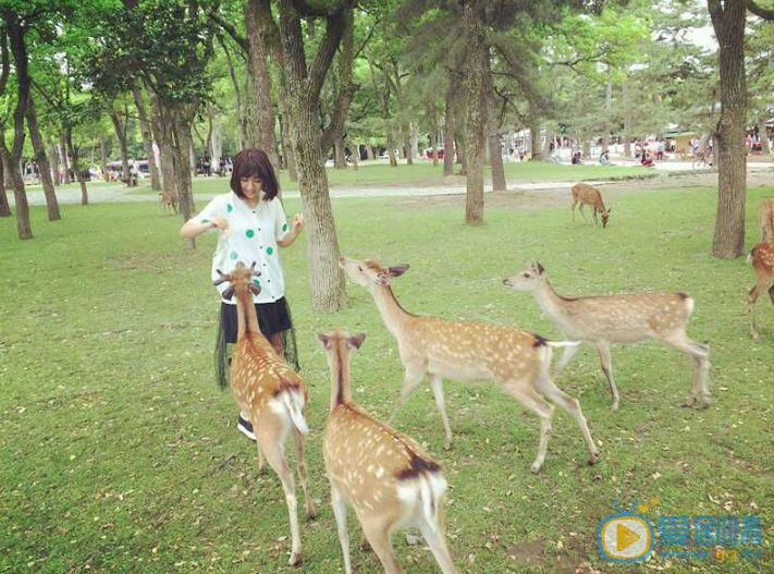 阿悄高清写真_阿悄高清剧照