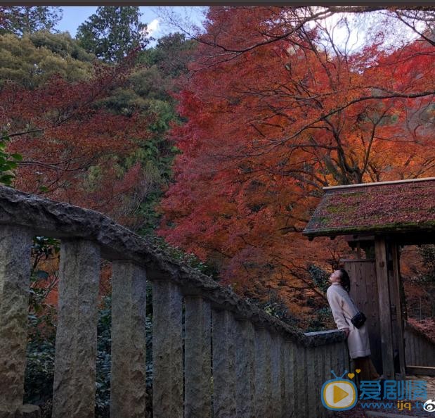 刘希媛高清写真_刘希媛高清剧照