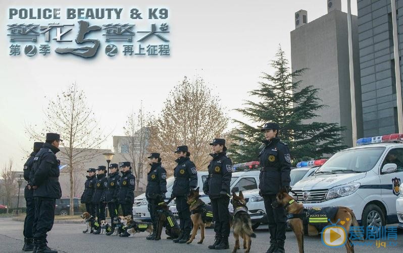 陈美霖《警花与警犬之再上征程》剧照 陈美霖高清写真_陈美霖高清剧照