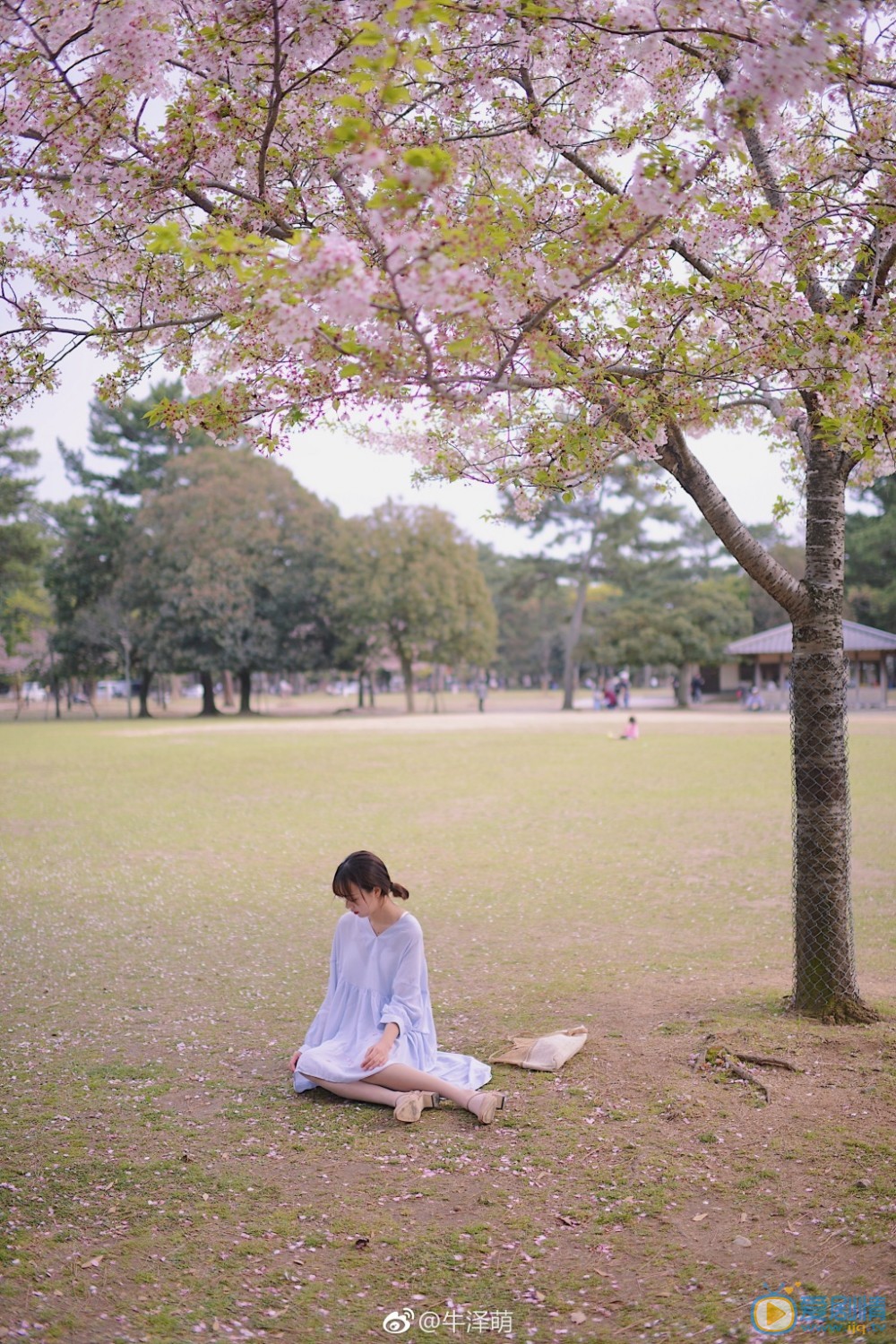 牛泽萌高清写真_牛泽萌高清剧照