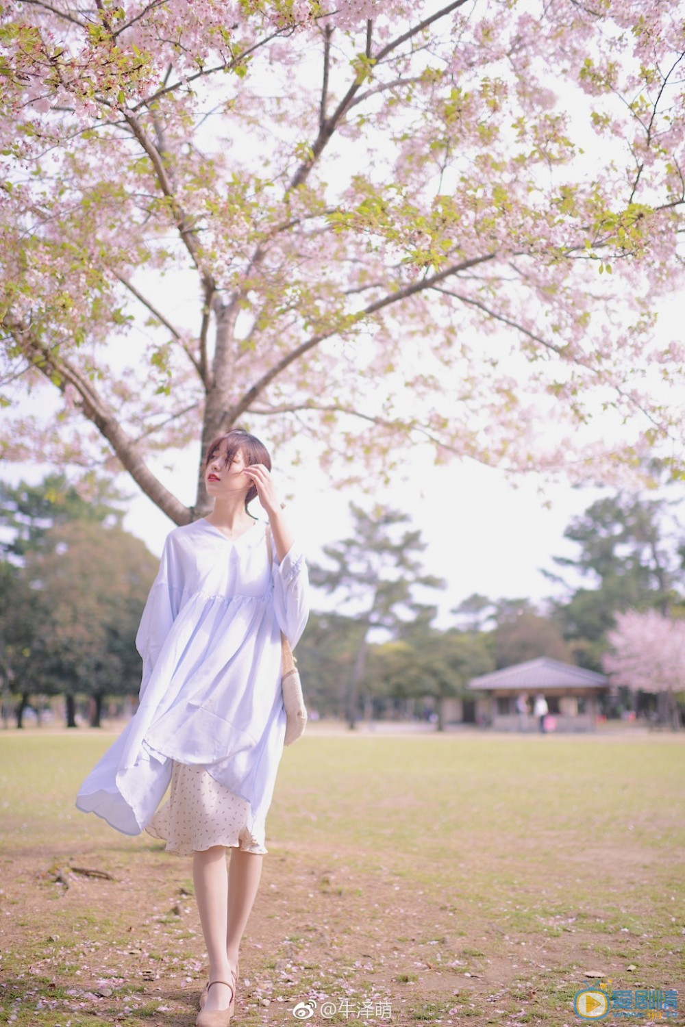 牛泽萌高清写真_牛泽萌高清剧照