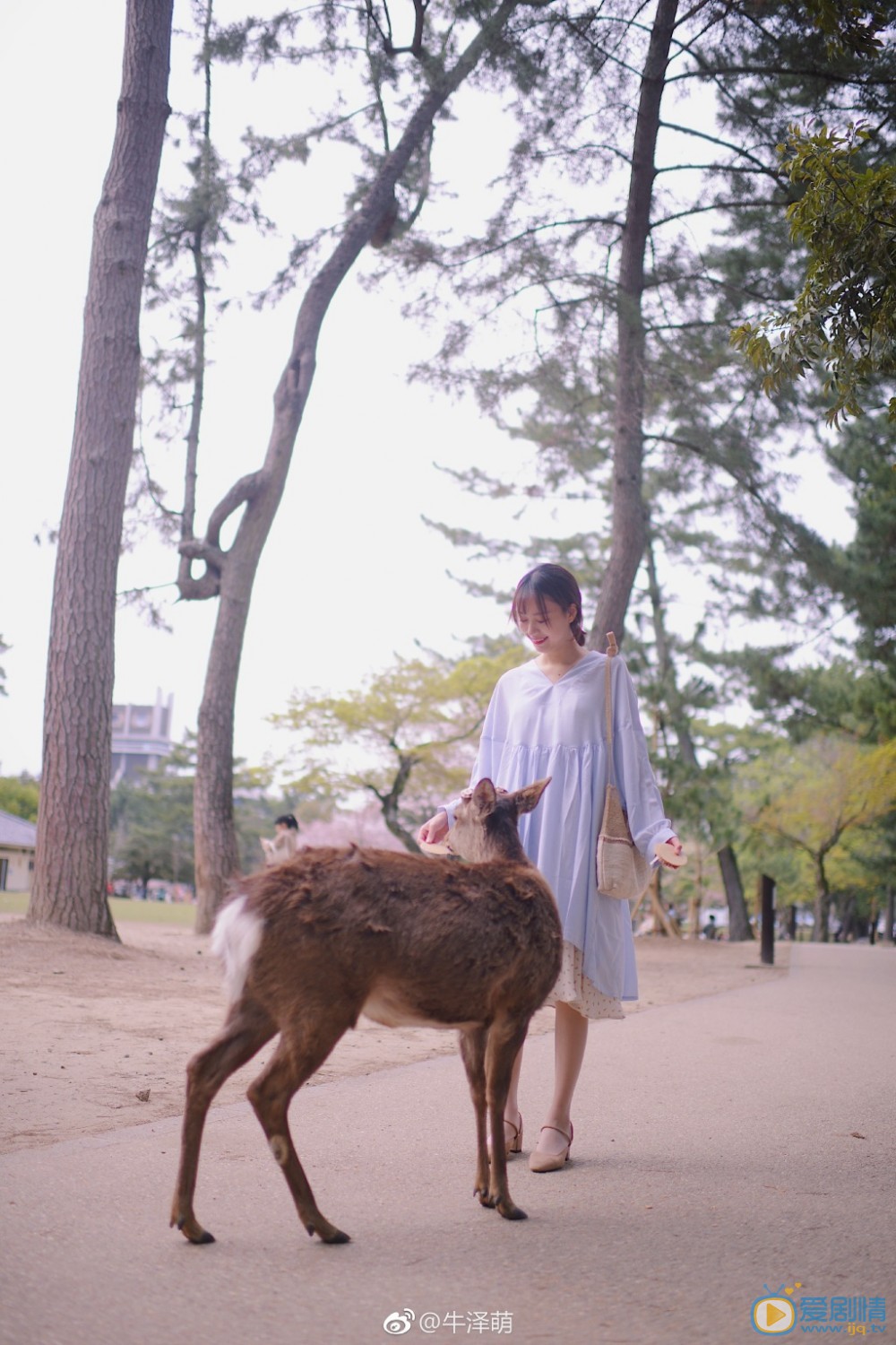 牛泽萌高清写真_牛泽萌高清剧照