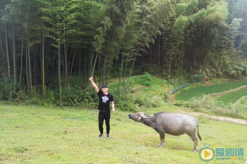 李东翰高清写真_李东翰高清剧照